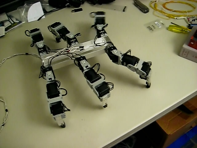 Video of robot walking